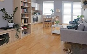 Cosy And Comfortable Apartment In Cracov